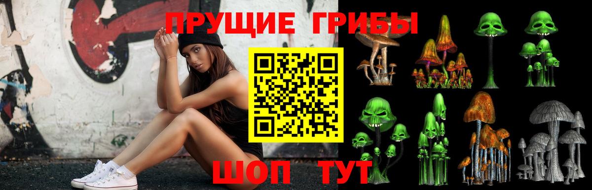Балтийск  где можно купить наркотик  Вход с VPN  Галлюциногенные грибы прущие грибы 